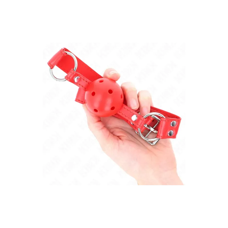 D-240839 KINK COLLAR & GAG