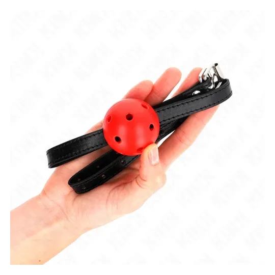 D-240848 KINK COLLAR & GAG