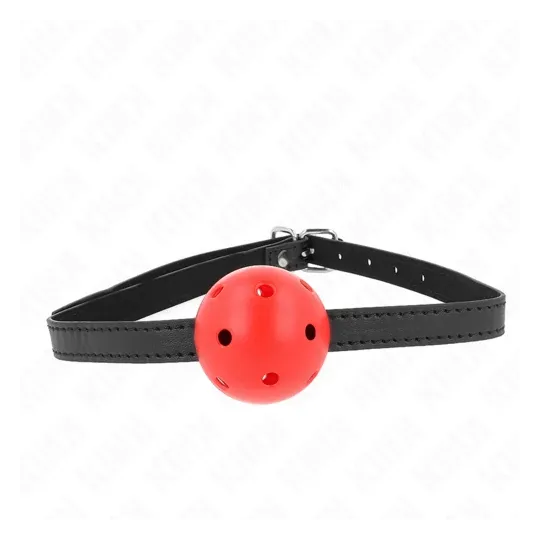 D-240848 KINK COLLAR & GAG