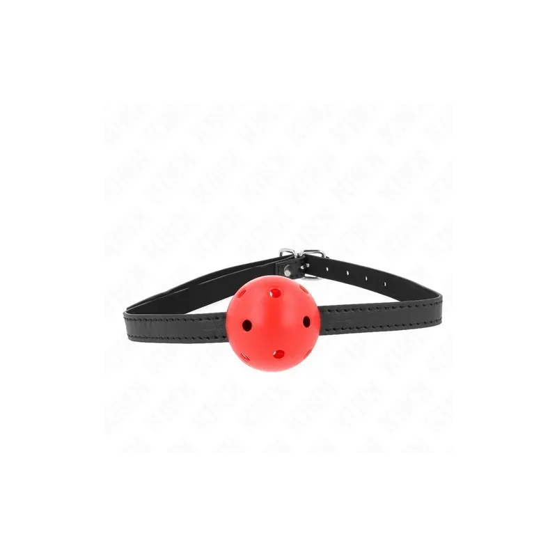 D-240848 KINK COLLAR & GAG