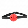 D-240848 KINK COLLAR & GAG