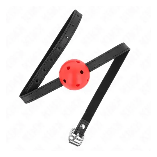 D-240848 KINK COLLAR & GAG
