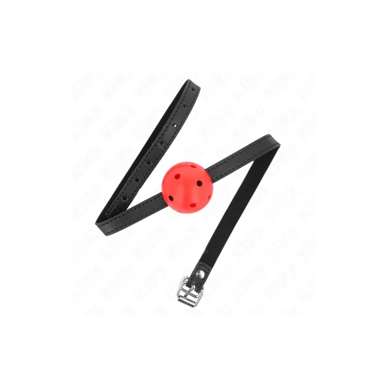 D-240848 KINK COLLAR & GAG