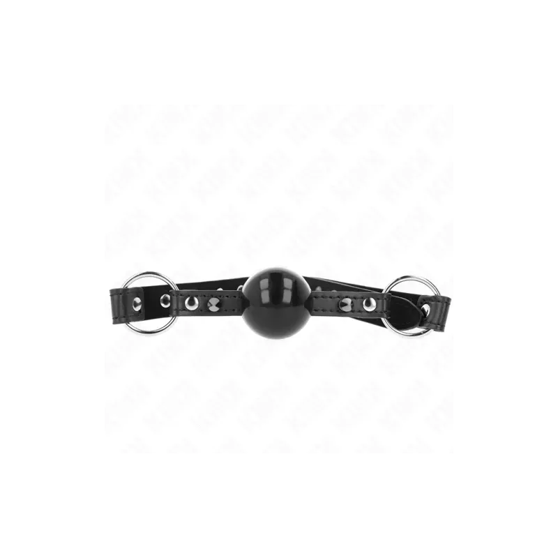 D-240867 KINK COLLAR & GAG