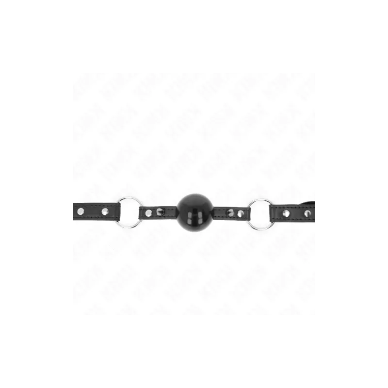 D-240867 KINK COLLAR & GAG
