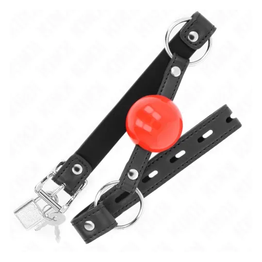D-240866 KINK COLLAR & GAG