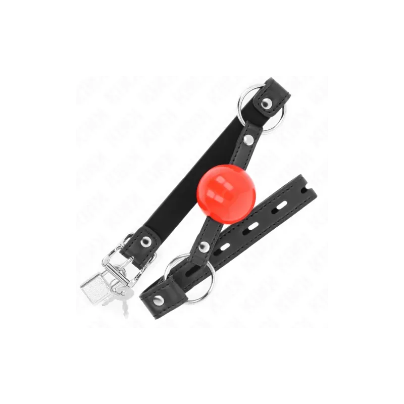 D-240866 KINK COLLAR & GAG