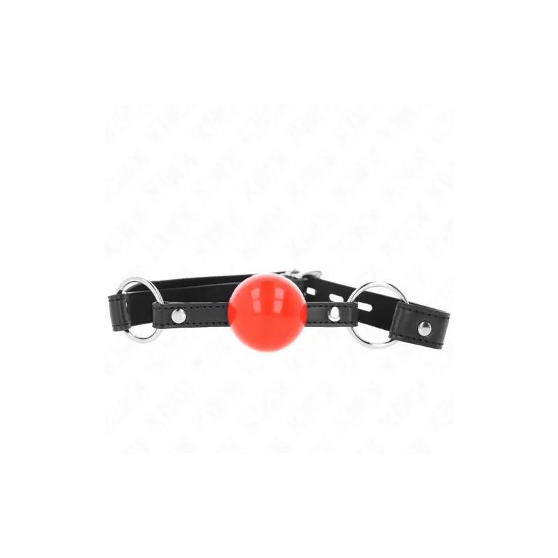 D-240866 KINK COLLAR & GAG