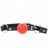 D-240866 KINK COLLAR & GAG