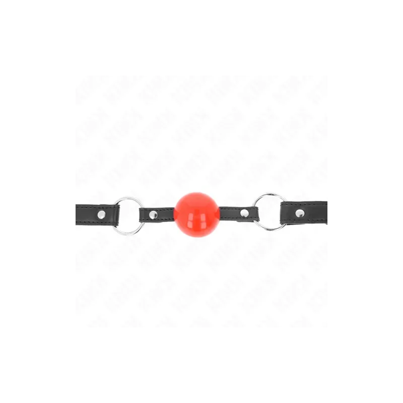 D-240866 KINK COLLAR & GAG