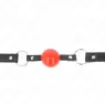 D-240866 KINK COLLAR & GAG