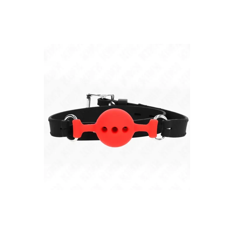 D-240817 KINK COLLAR & GAG