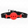 D-240817 KINK COLLAR & GAG