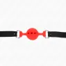 D-240817 KINK COLLAR & GAG