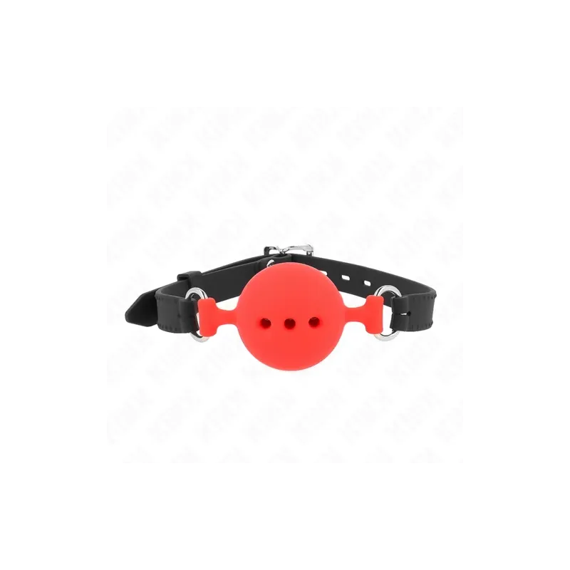 D-240819 KINK COLLAR & GAG