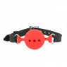 D-240819 KINK COLLAR & GAG