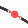 D-240819 KINK COLLAR & GAG