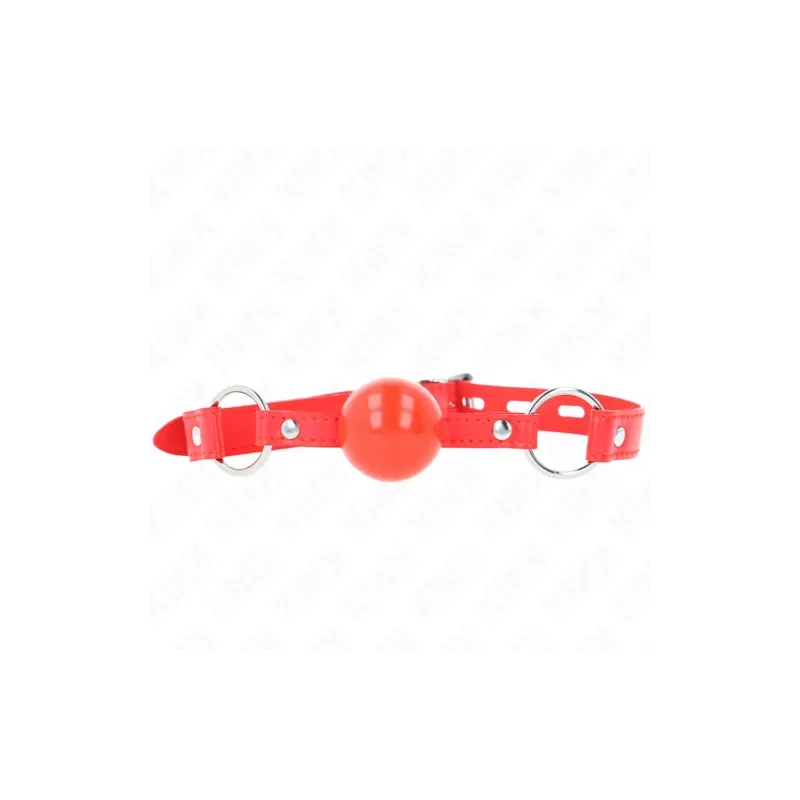D-240863 KINK COLLAR & GAG