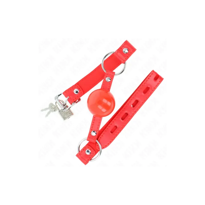 D-240863 KINK COLLAR & GAG