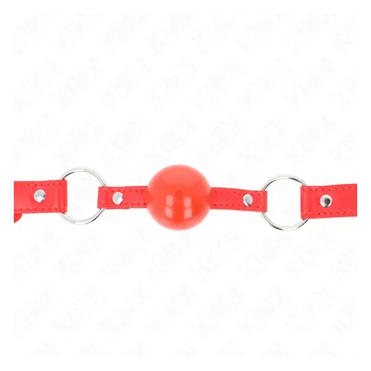 D-240863 KINK COLLAR & GAG