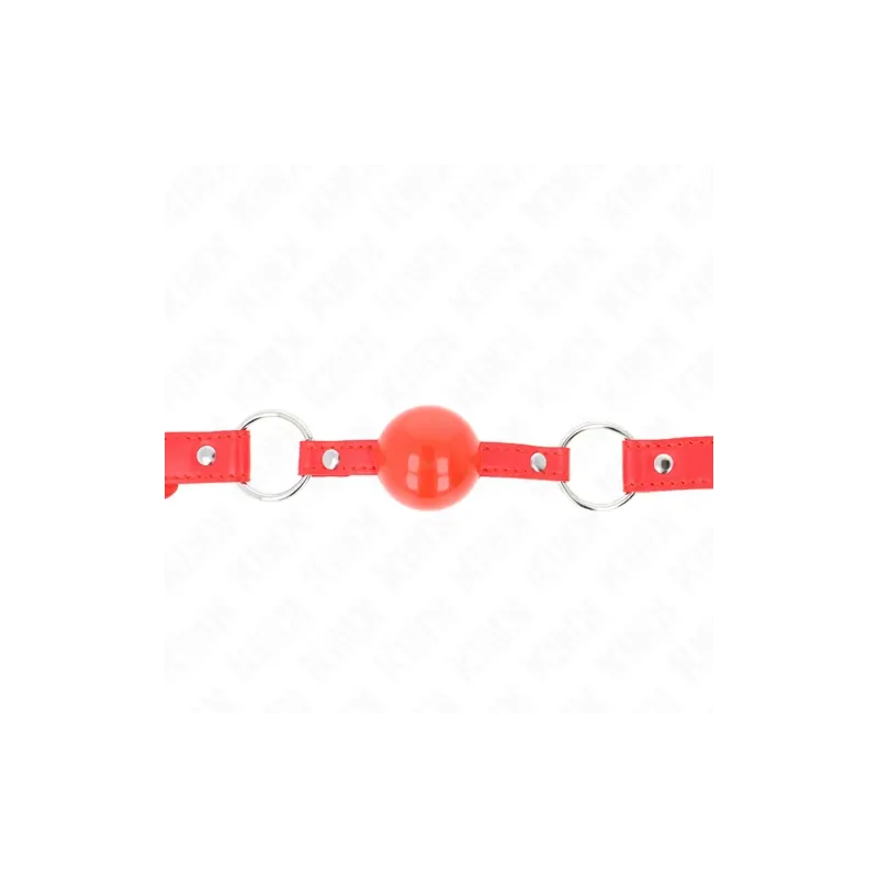 D-240863 KINK COLLAR & GAG