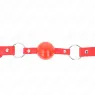 D-240863 KINK COLLAR & GAG