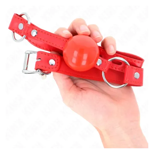 D-240863 KINK COLLAR & GAG