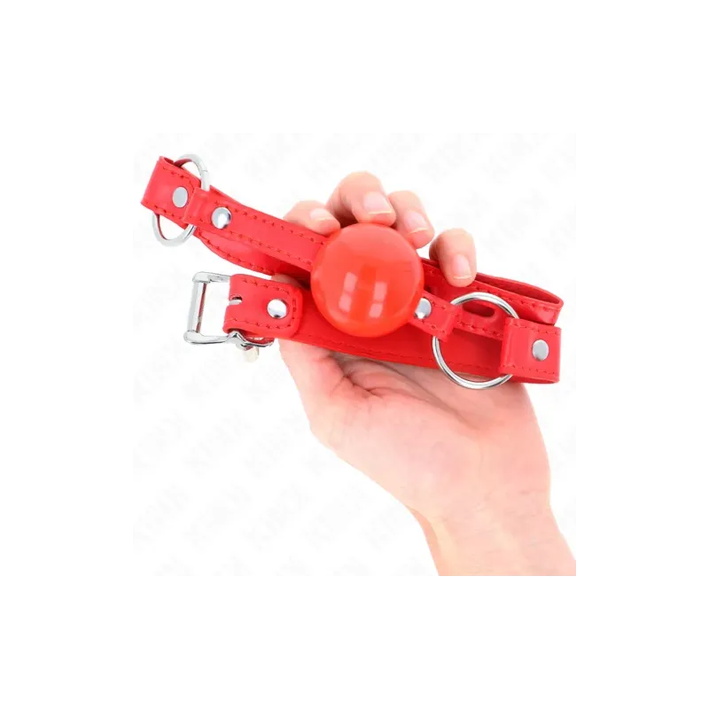D-240863 KINK COLLAR & GAG