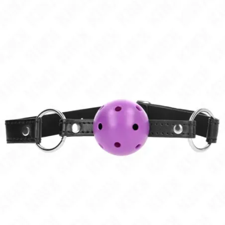 D-240838 KINK COLLAR & GAG