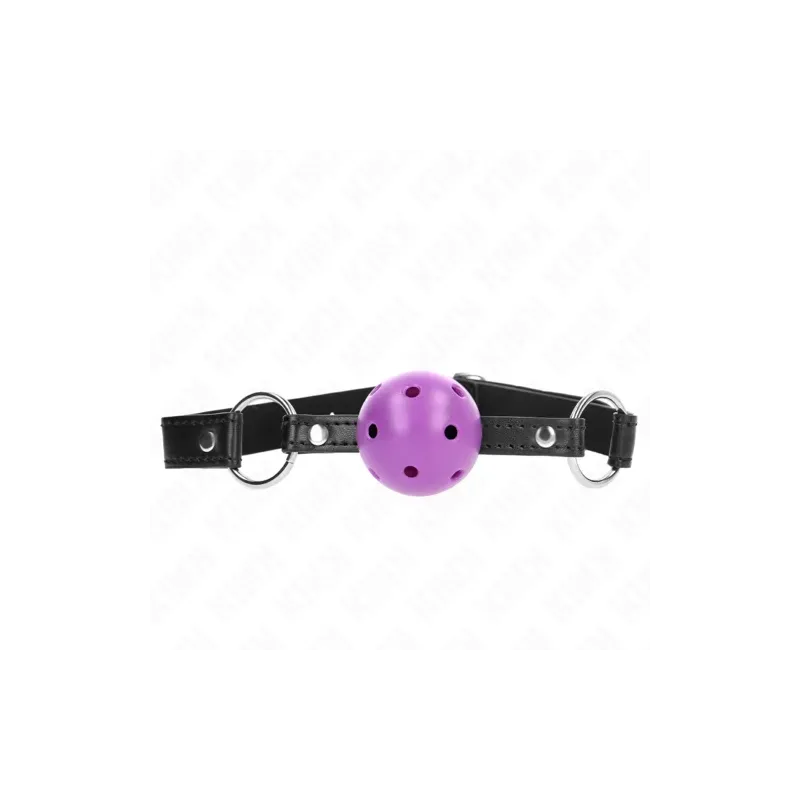 D-240838 KINK COLLAR & GAG