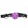 D-240838 KINK COLLAR & GAG
