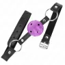 D-240838 KINK COLLAR & GAG