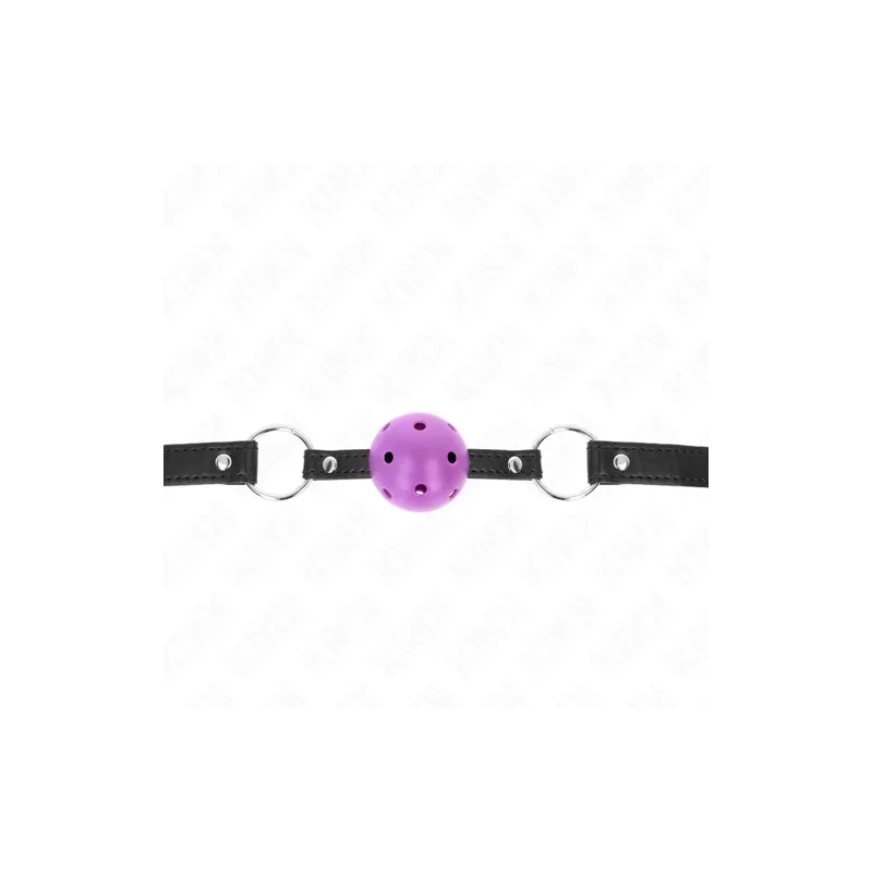 D-240838 KINK COLLAR & GAG