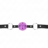 D-240838 KINK COLLAR & GAG