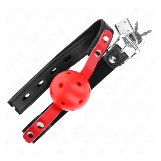 D-240857 KINK COLLAR & GAG