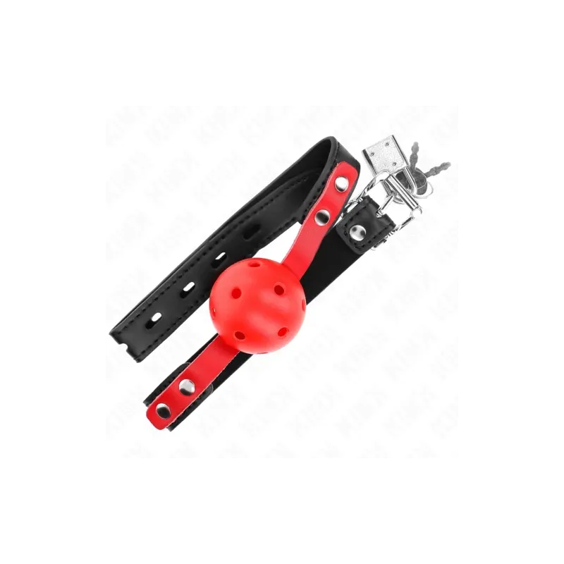 D-240857 KINK COLLAR & GAG