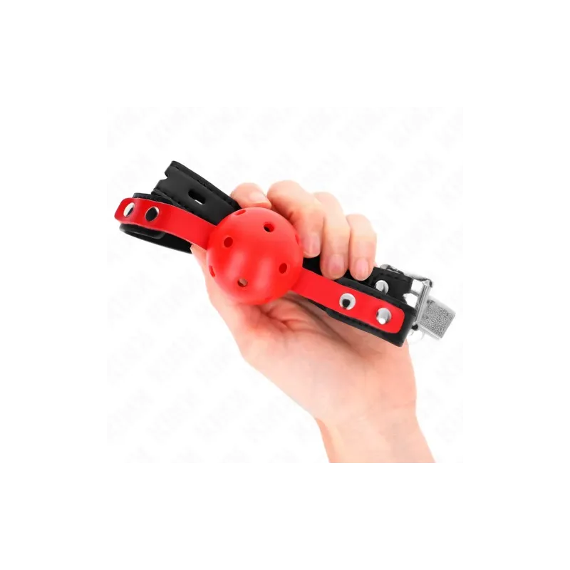 D-240857 KINK COLLAR & GAG