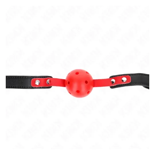 D-240857 KINK COLLAR & GAG