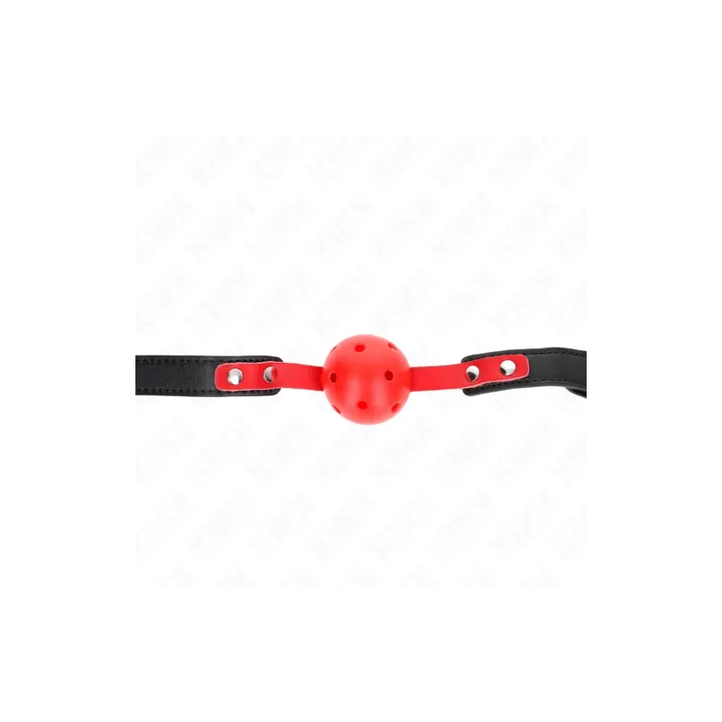 D-240857 KINK COLLAR & GAG