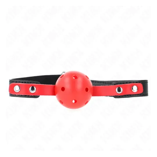 D-240857 KINK COLLAR & GAG