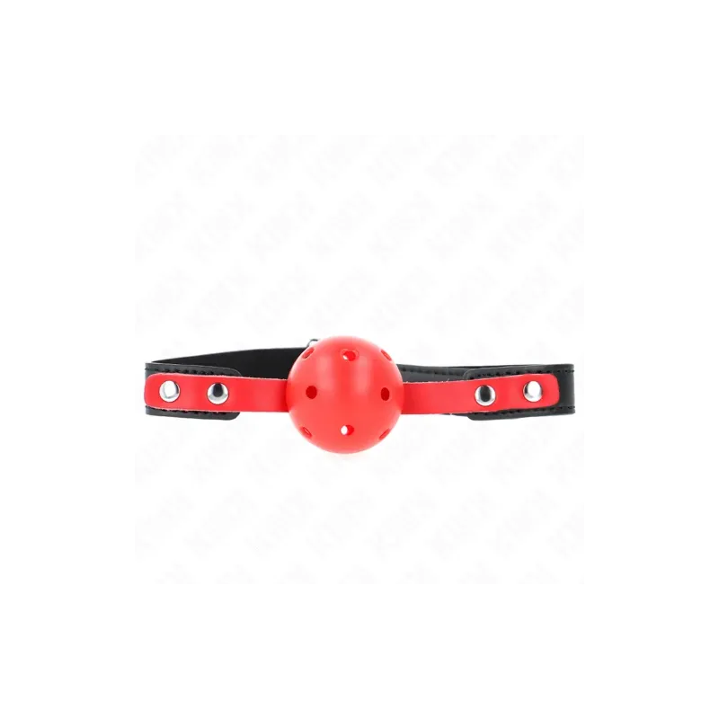 D-240857 KINK COLLAR & GAG