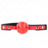 D-240857 KINK COLLAR & GAG