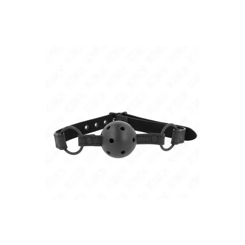 D-240834 KINK COLLAR & GAG