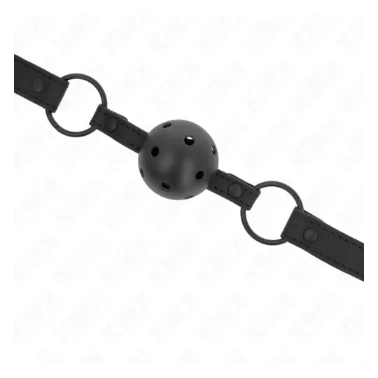 D-240834 KINK COLLAR & GAG