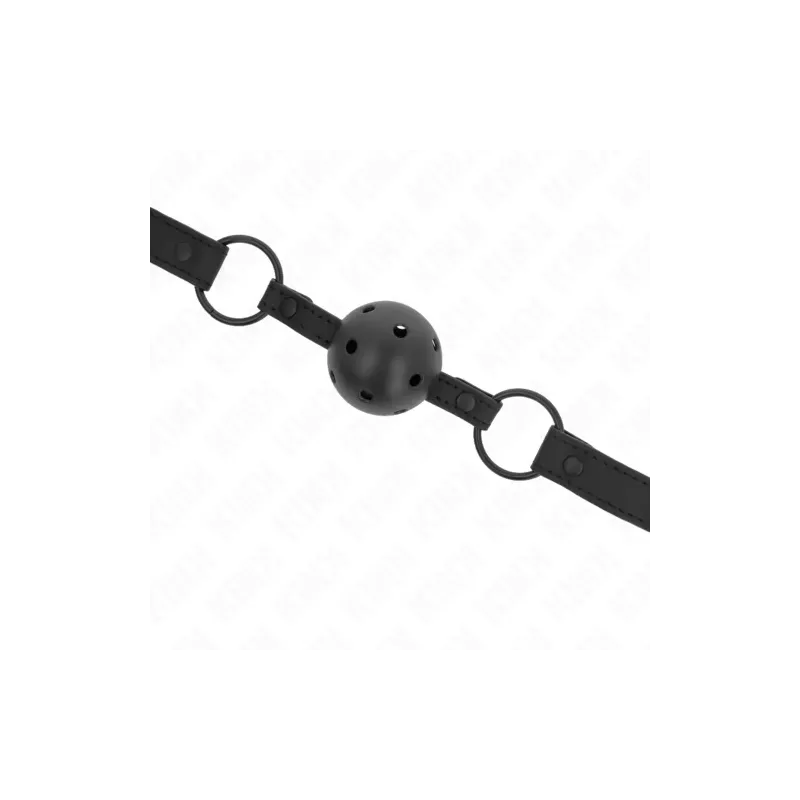 D-240834 KINK COLLAR & GAG
