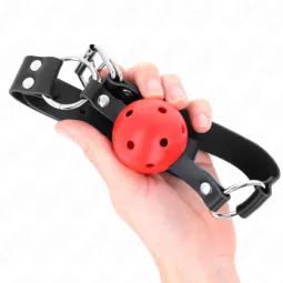 D-240852 KINK COLLAR & GAG