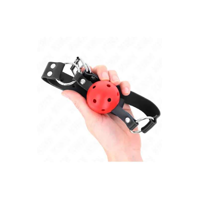 D-240852 KINK COLLAR & GAG