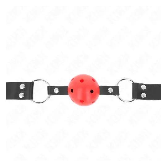 D-240852 KINK COLLAR & GAG