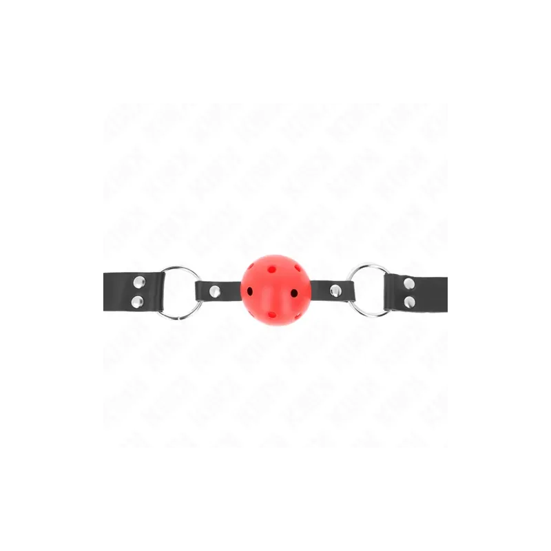 D-240852 KINK COLLAR & GAG