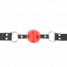 D-240852 KINK COLLAR & GAG
